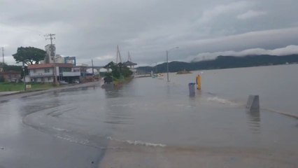 전남 무안 도리포 해안 범람...경찰·소방 통제 나서 / YTN