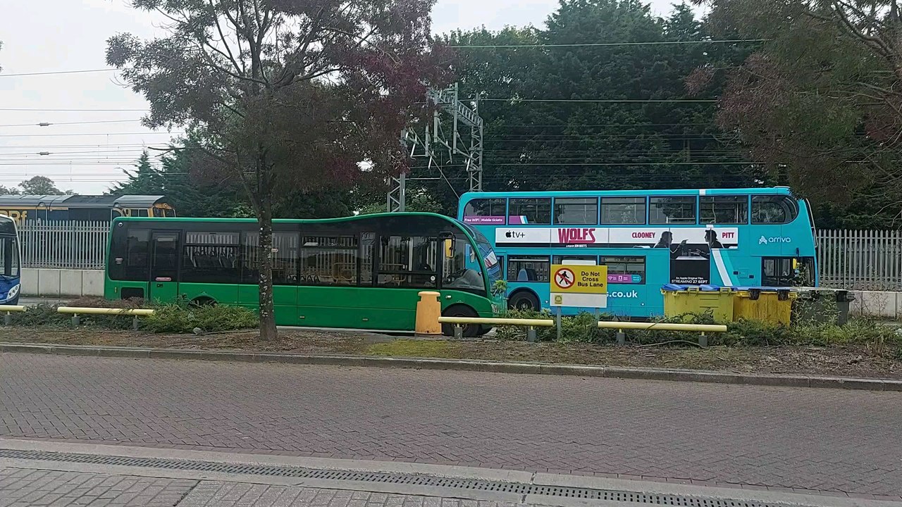 morning train coming