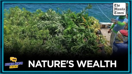 Former overseas Filipino worker strikes gold in greenery