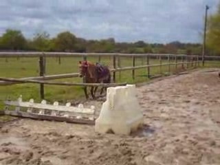 Torpi saute, comme si de rien n'était!