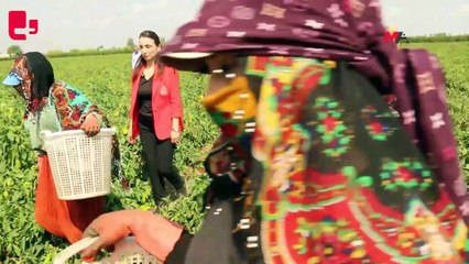 Hatimoğulları: İnsanlar evlerine ekmek götüremiyor