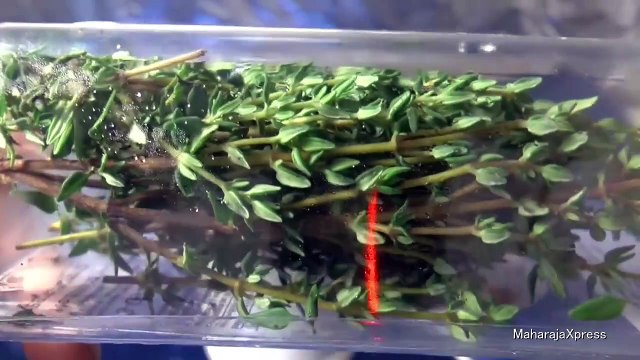 Colombian Roasted Chicken Recipe Oven Recipes Colombia [ASMR]