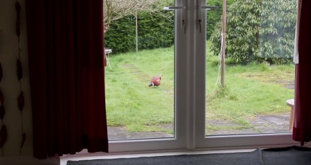 House of Dead Full Horror Movie in English 4K UHD