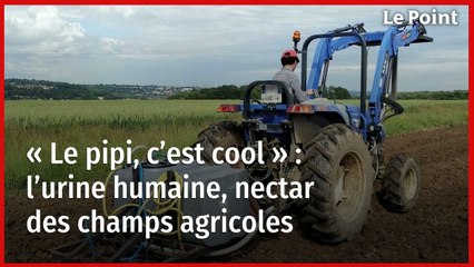 « Le pipi, c’est cool » : l’urine humaine, nectar des champs agricoles