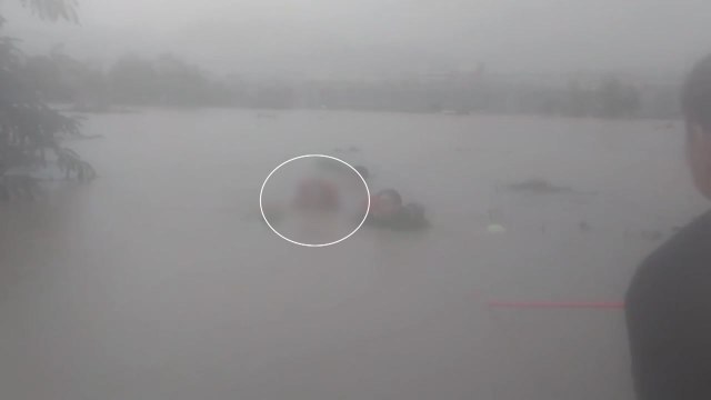 농막 고립 60대 구조...경남, 인명 구조 신고만 20건 / YTN