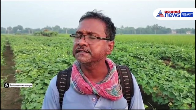 ডিভিসির সঙ্গে মুখ্যমন্ত্রীর সম্পর্ক ছিন্ন নিয়ে উদ্বিগ্ন বর্ধমানের চাষীরা, দেখুন কী বলছেন তাঁরা