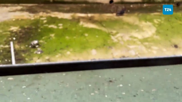 Sadece okullarda değil, KYK yurtlarında da temizlik yetersiz: Üniversite öğrencileri, ölü örümceklerle dolu odalarda uyudu