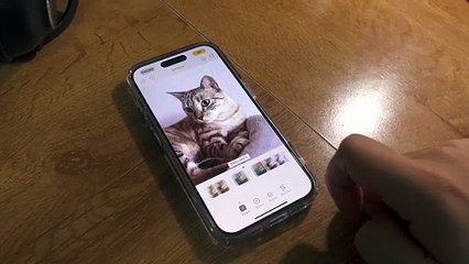 Estilos del iPhone 16 📱