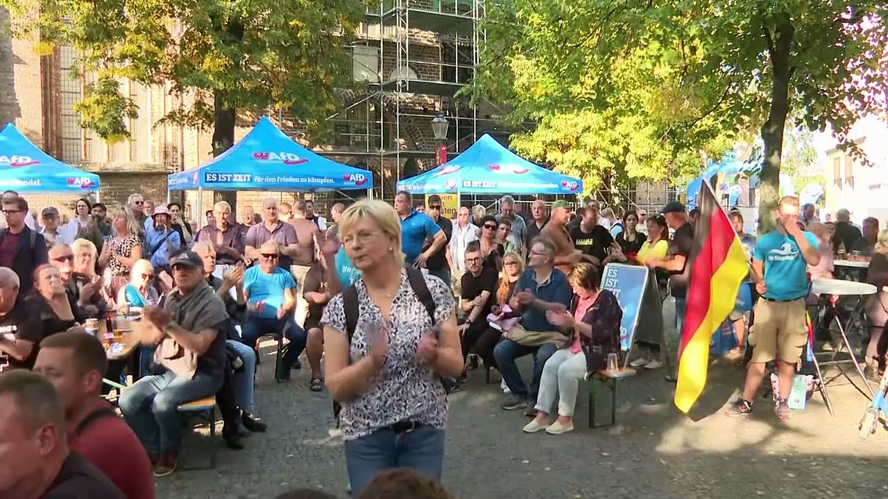 Vor der Wahl in Brandenburg: AfD in Umfragen vorn