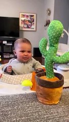 Talking Cactus toy fun