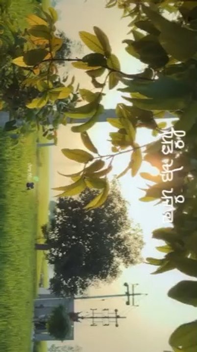 Punjab pind de khet