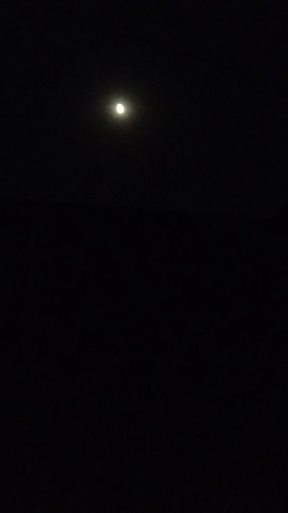 Moon Light