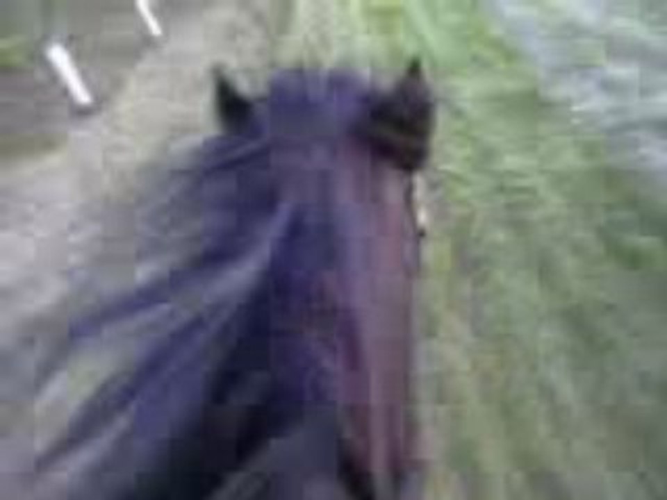 Caméra embarquée galop