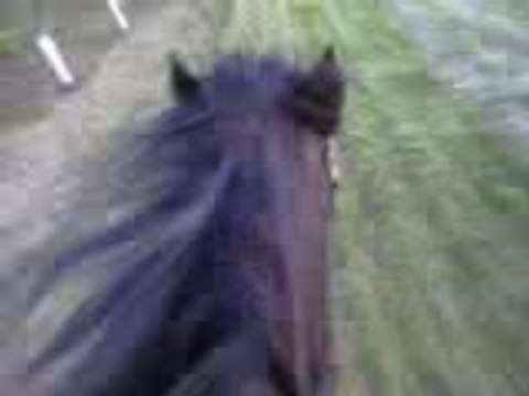 Caméra embarquée galop