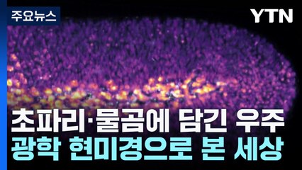 초파리·물곰에 담긴 우주...무섭고 귀엽고 신비한 광경 / YTN