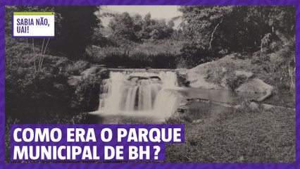 Saiba como foram os primeiros anos do Parque Municipal de BH