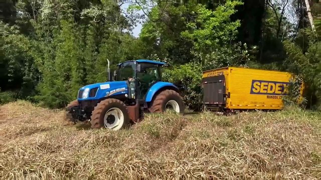 Sábado de Sol: Caminhão carregado quase duas toneladas de maconha é apreendido em Cascavel