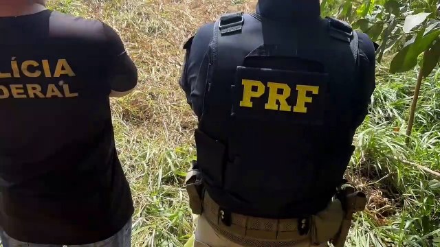 PRF e PF apreendem caminhão da prestadora de serviços dos Correios com 2 toneladas de maconha