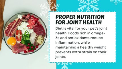 Cold weather is coming! Effective Ways to Deal with Joint Problems in Dogs