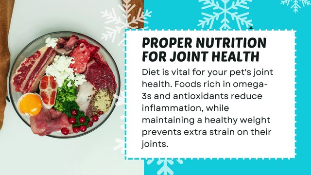 Cold weather is coming! Effective Ways to Deal with Joint Problems in Dogs