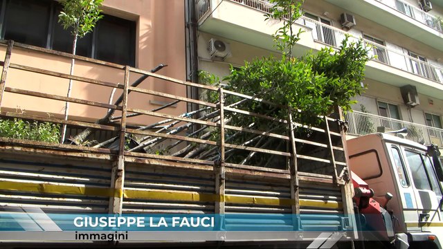 FORESTAME, PARTITA LA SOSTITUZIONE DEGLI ALBERI