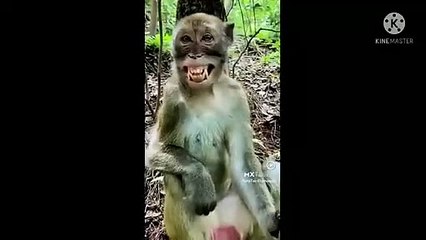 funny video 30 secondsfunny video statusshort comedy videos 30 seconds#shorts_DON'T CLICK ON TITLE