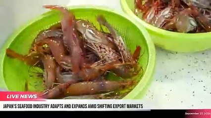 The Supply Chain Report News Roundup - 23rd September 2024