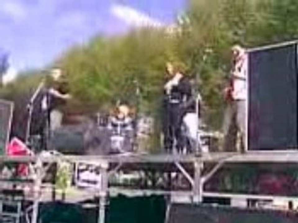 extrait d'un concert de ska-punk