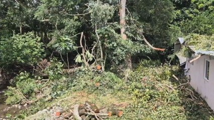 Sinaproc organiza simulacro en Barú para reaccionar frente a eventos de gran magnitud