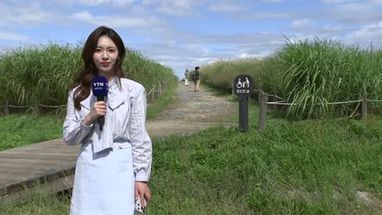 [날씨] 서울, 비 그치고 파란 하늘...동해안·제주도 비 / YTN