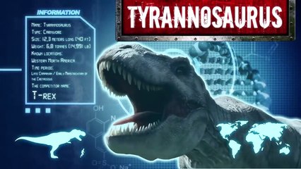 Download Video: Dinosaur fight T Rex vs Triceratops  Learn about dinosaurs  Dino battle  the Din