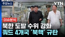 전·현정권 '통일 담론' 충돌...쿼드, 북 핵개발 규탄 / YTN