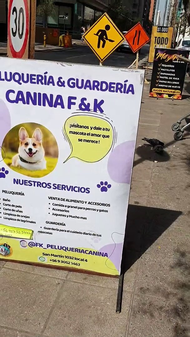 ⁣A Dog Grooming Shop, Santiago, Chile