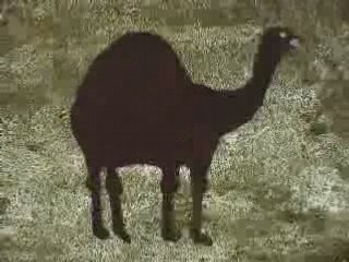 LE DROMADAIRE QUI AVAIT TOUJOURS SOIF