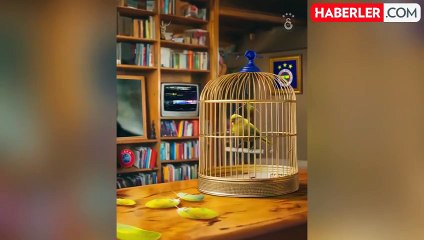 Galatasaray'dan maç sonu Fenerbahçelileri çıldırtan paylaşımlar