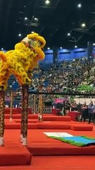 今年狮王冠军归属？柔沙威文青狮团成夺冠热门 🦁