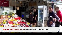 Balık tezgahlarında palamut bolluğu: Tanesi 125 - 150 lira arasında değişiyor