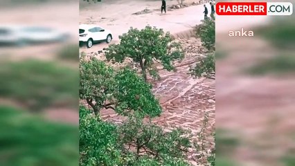 Şanlıurfa'da Sağanak Yağış Tarım ve Ulaşımı Olumsuz Etkiledi