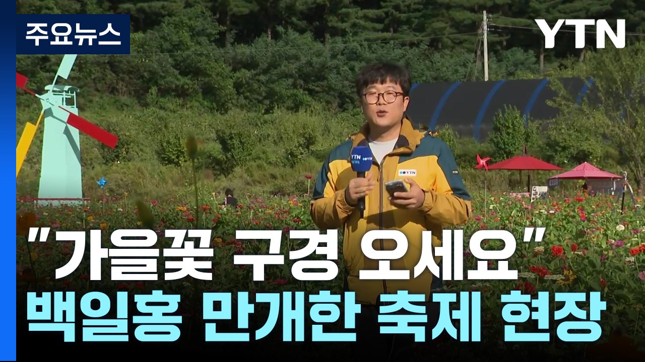 "알록달록 가을꽃 구경 오세요"...백일홍 활짝 / YTN