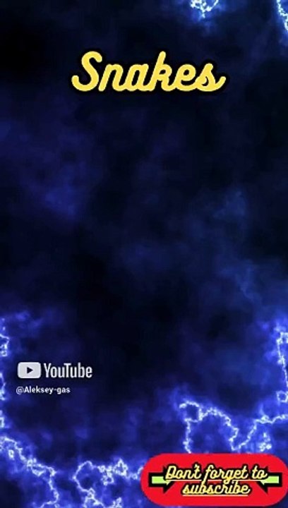 Animal Facts    Snakes   #shorts