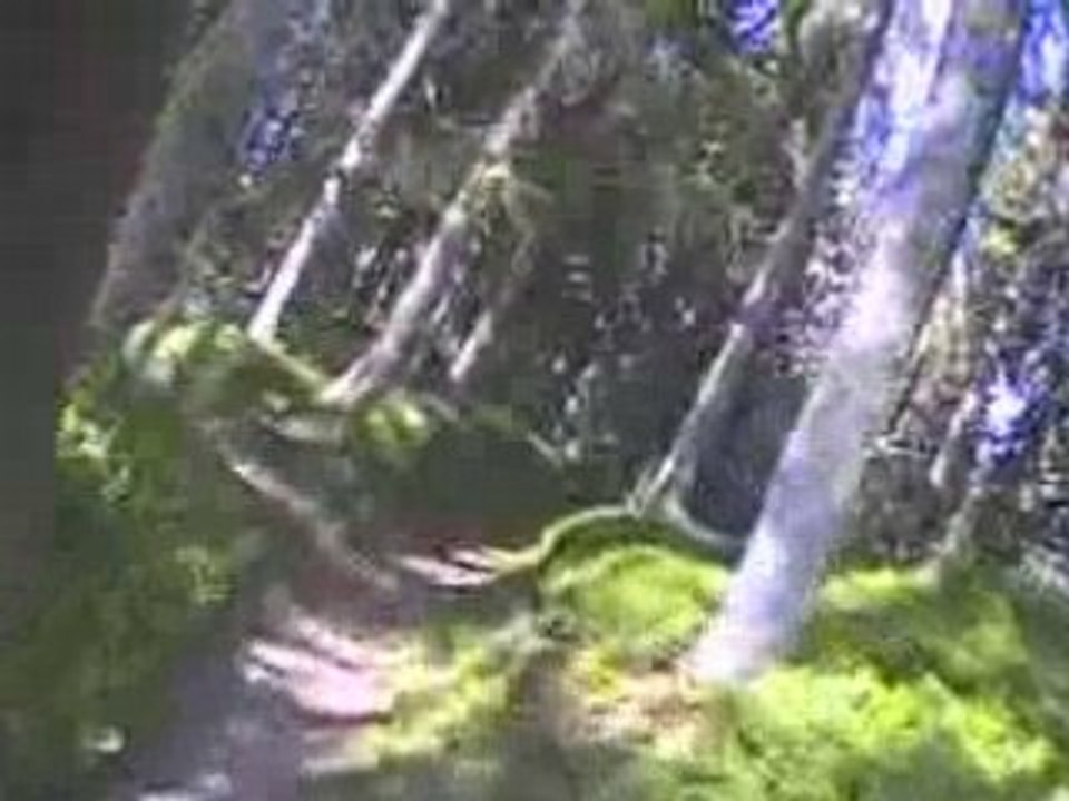 Ecole de mountainbord saisies