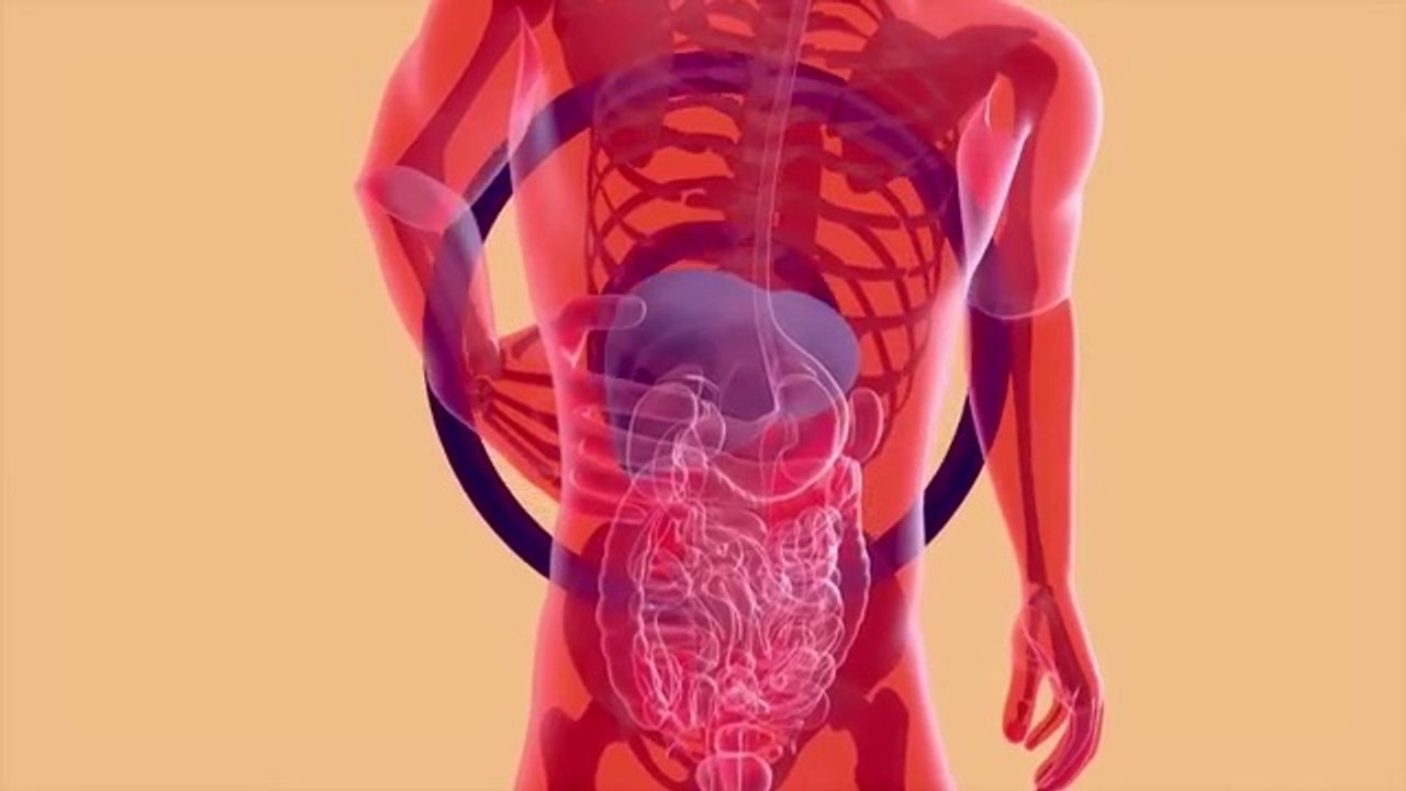 The Only BEAN that Can Heal, Cleanse, and Reverse Fatty Liver! Dr. Mandell