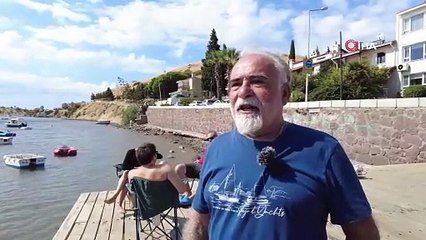 Günün videosu İzmir'den geldi: Denizde yüzerken göbeğine martı kondu