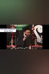 /علامہ شہنشاہ نقوی /