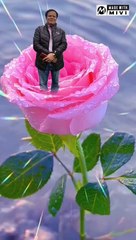 Enchanting Glimpses of Lovely Flowers.... ।। 1000241909