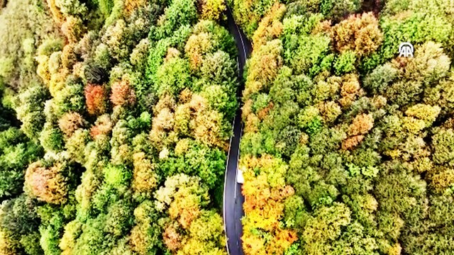 Çam Dağı'nda sonbaharın renkleri kendini gösterdi
