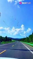 अरे भाई,यह क्या हो गया । Are Bhai, Yah Kya Ho Gaya ? Hill Station Ooty l #funny #shorts #viralvideo   Get ready for a hilarious and adventurous ride!