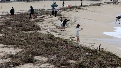 가을 폭우·높은 파도에 강원 동해안 백사장 쓰레기 밀려와 / YTN