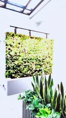 اجرای دیوار سبز و فلاور باکس منزل مسکونی-گرین وال طبیعی 8