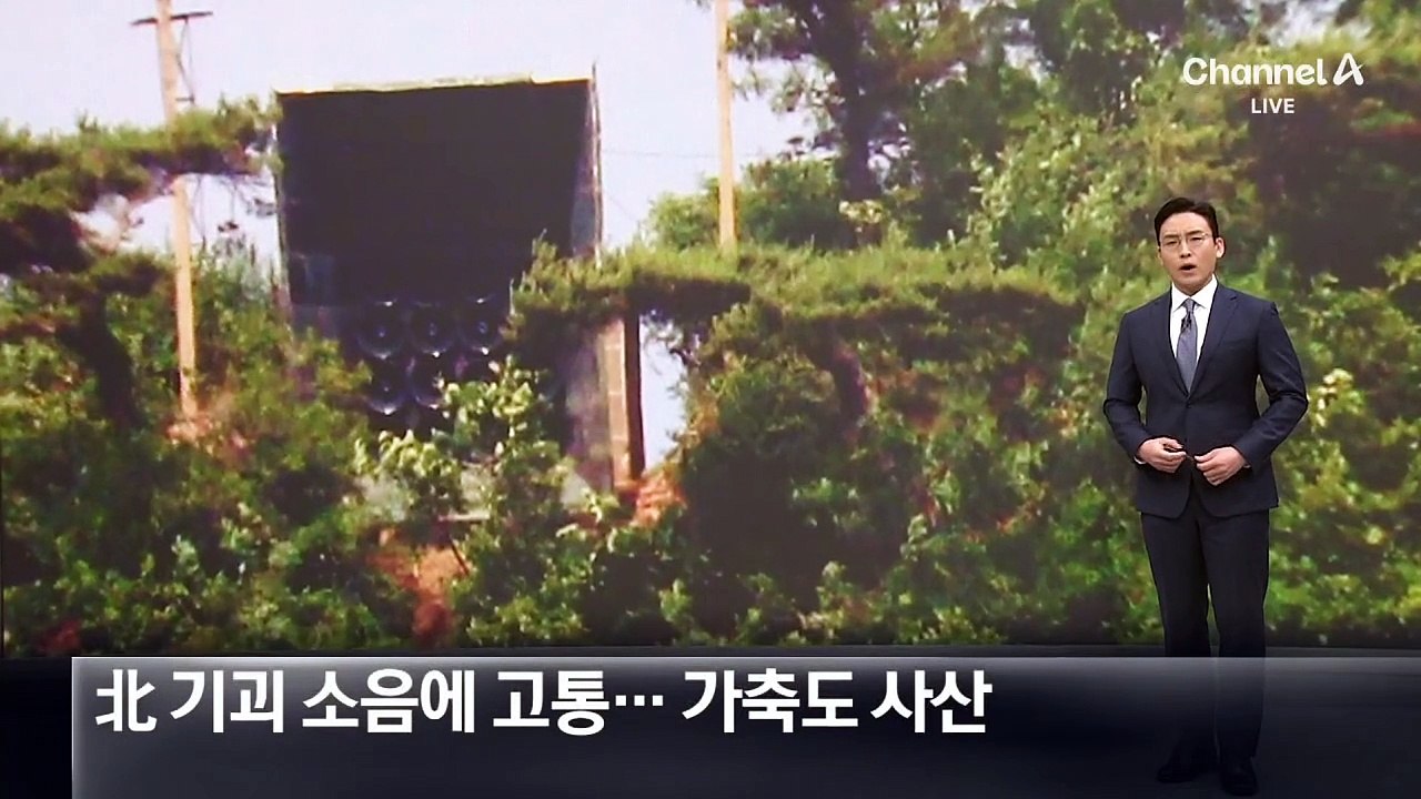 北 ‘기괴 소음’에 주민들 고통…가축도 사산